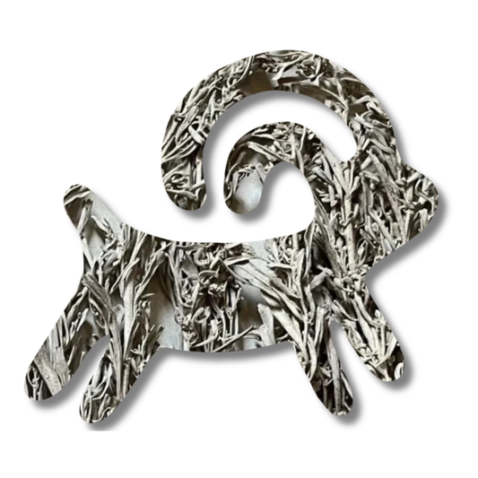 Sage Membership